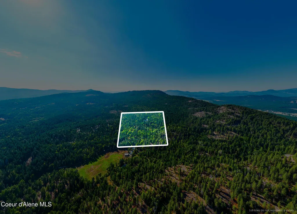 299 Oak Terrace Creek Cocolalla ID 83813