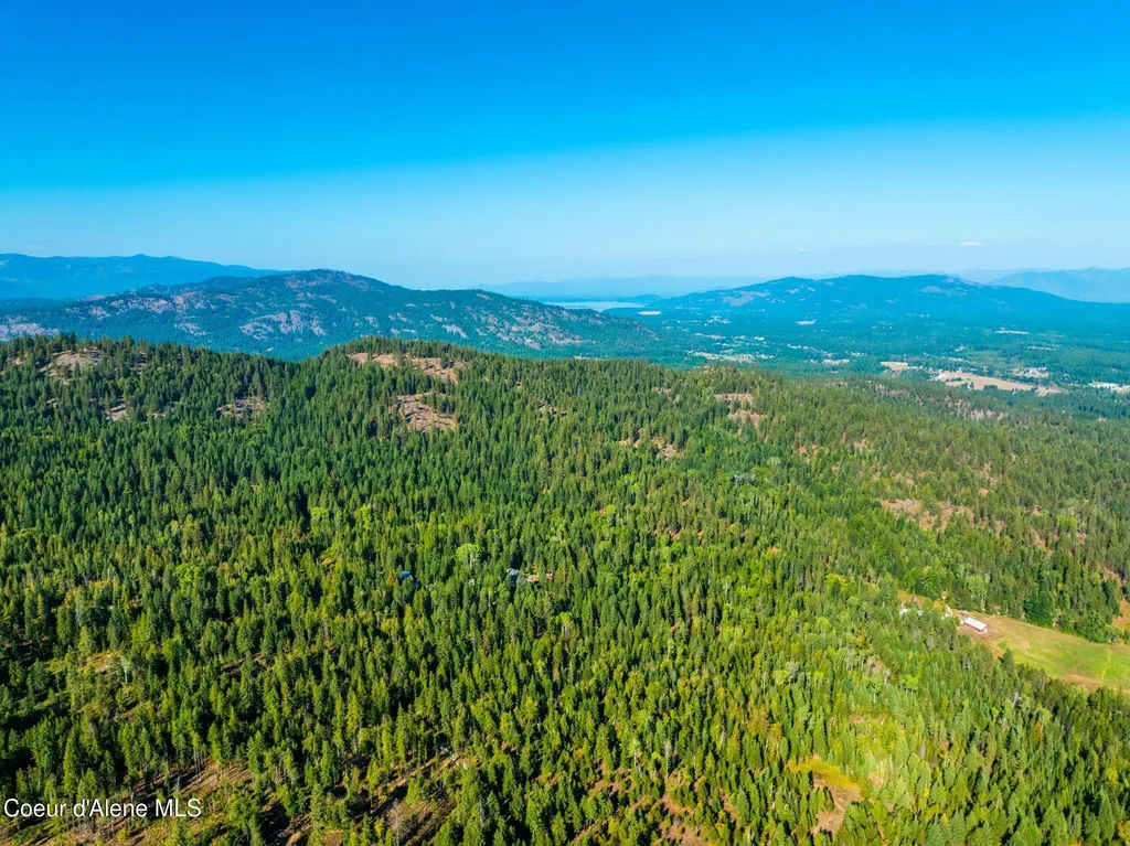 299 Oak Terrace Creek Cocolalla ID 83813