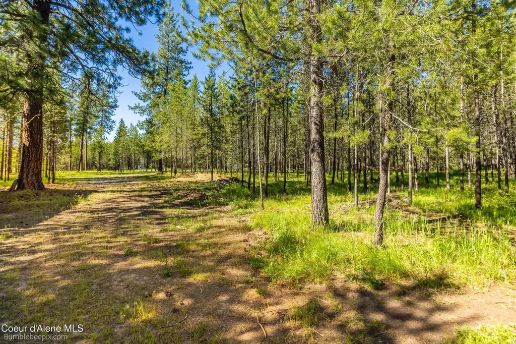 89 Jada Drive Blanchard ID 83804