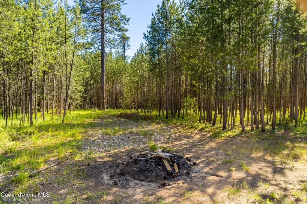 89 Jada Drive Blanchard ID 83804