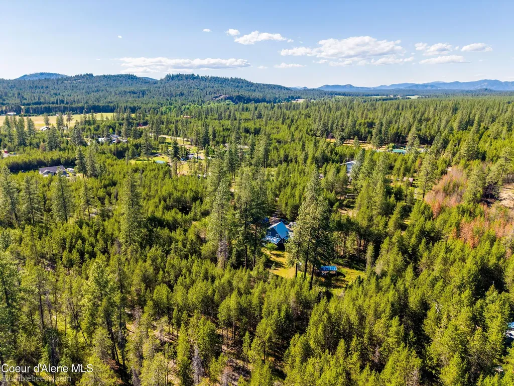 89 Jada Drive Blanchard ID 83804