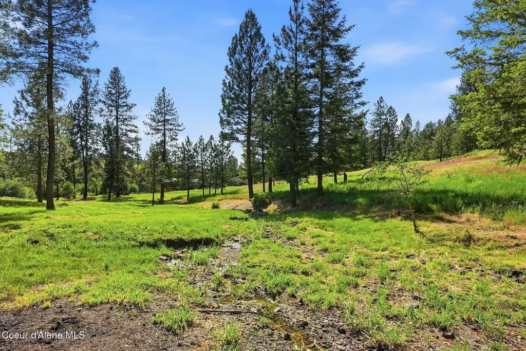 141 Brook Lane Fernwood ID 83830