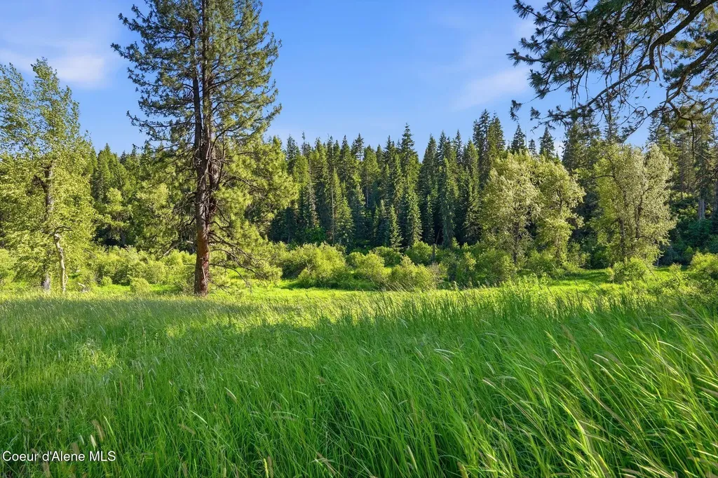 141 Brook Lane Fernwood ID 83830