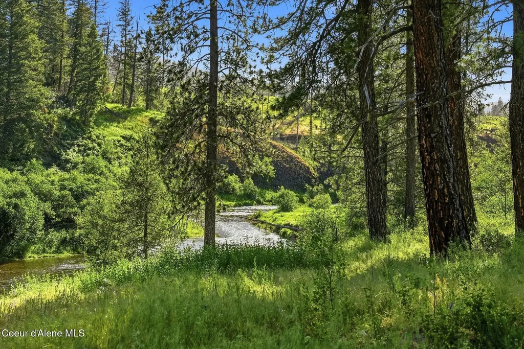 141 Brook Lane Fernwood ID 83830