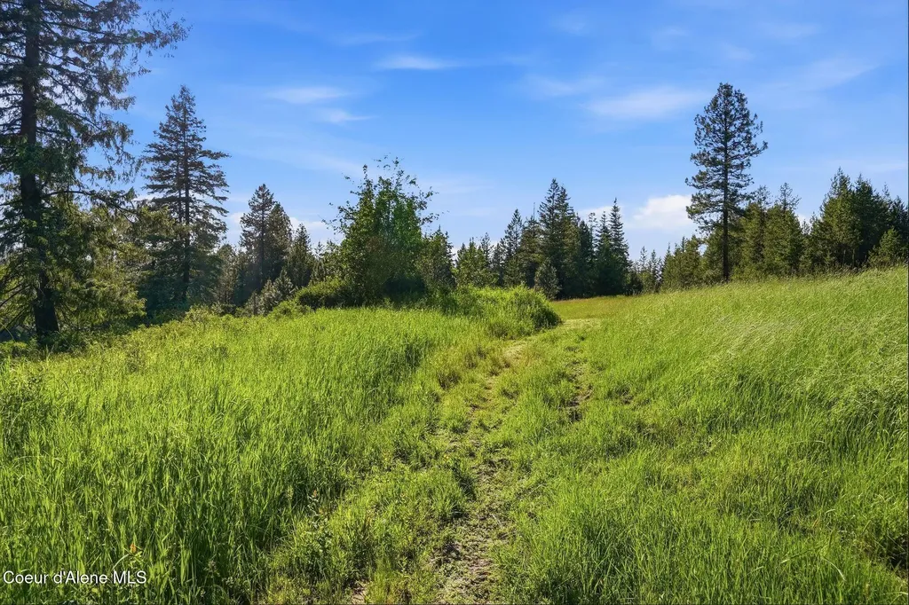 141 Brook Lane Fernwood ID 83830