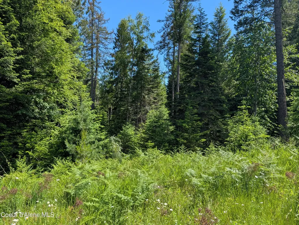 1193 Hidden Valley Road Sandpoint ID 83864