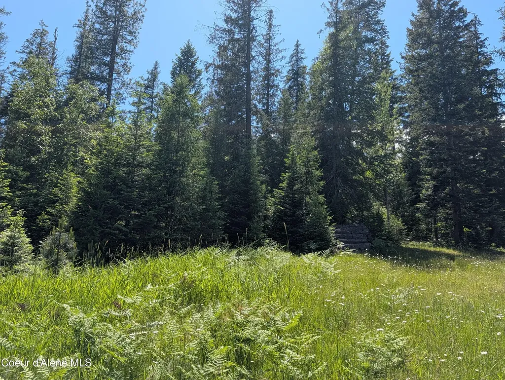 1193 Hidden Valley Road Sandpoint ID 83864