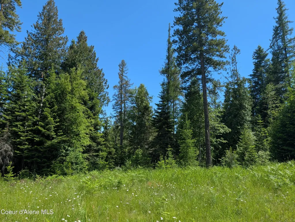 1193 Hidden Valley Road Sandpoint ID 83864