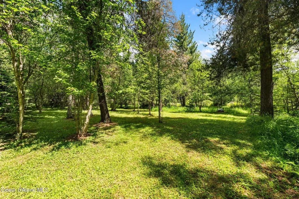 163 Bussard Lake Road Bonners Ferry ID 83805