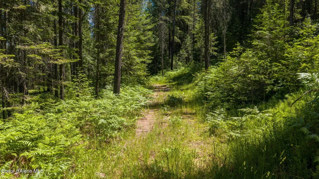 965 Trails End Road Athol ID 83801