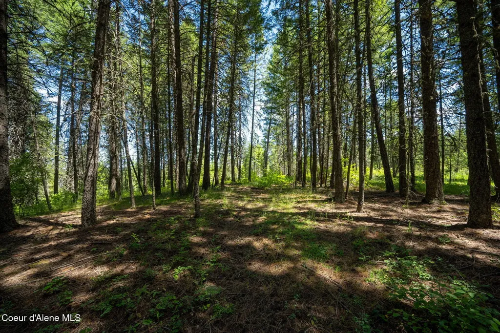 965 Trails End Road Athol ID 83801