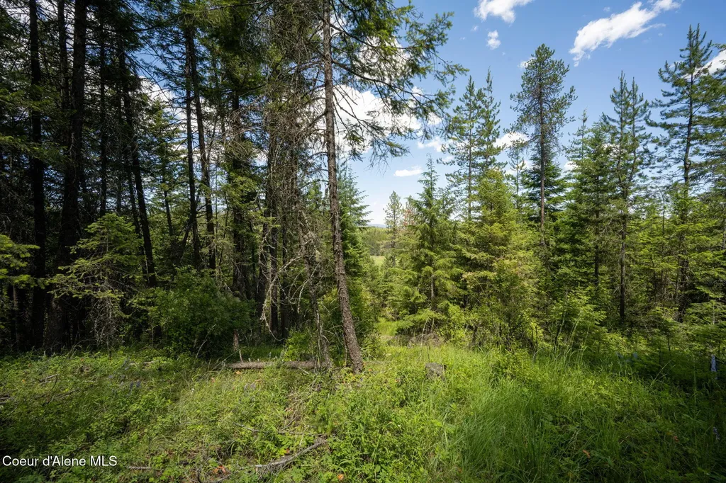 965 Trails End Road Athol ID 83801