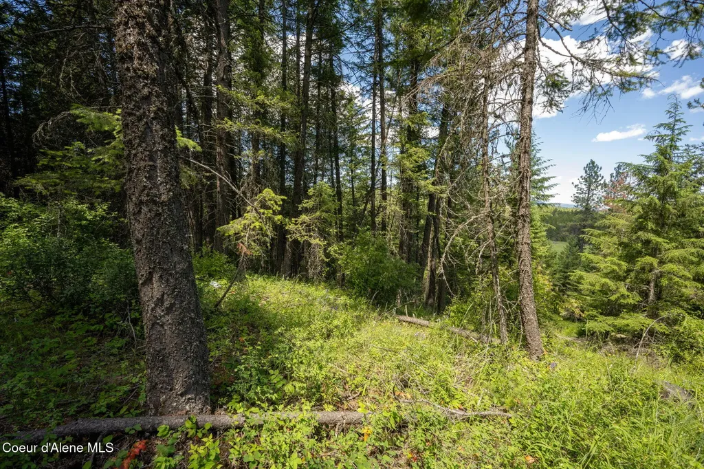 965 Trails End Road Athol ID 83801