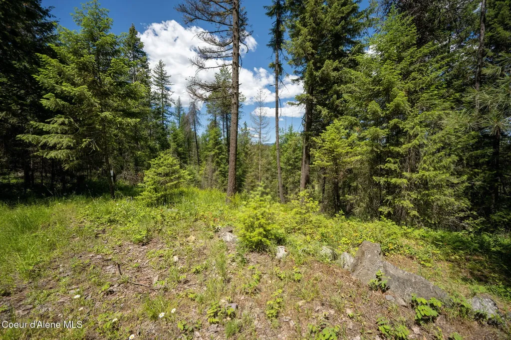 965 Trails End Road Athol ID 83801