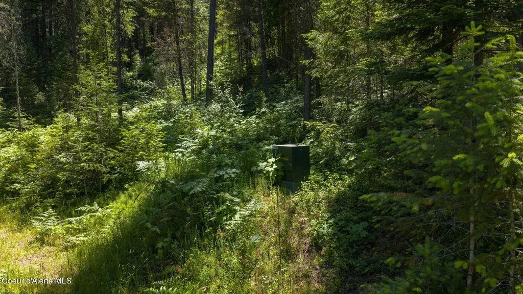 965 Trails End Road Athol ID 83801