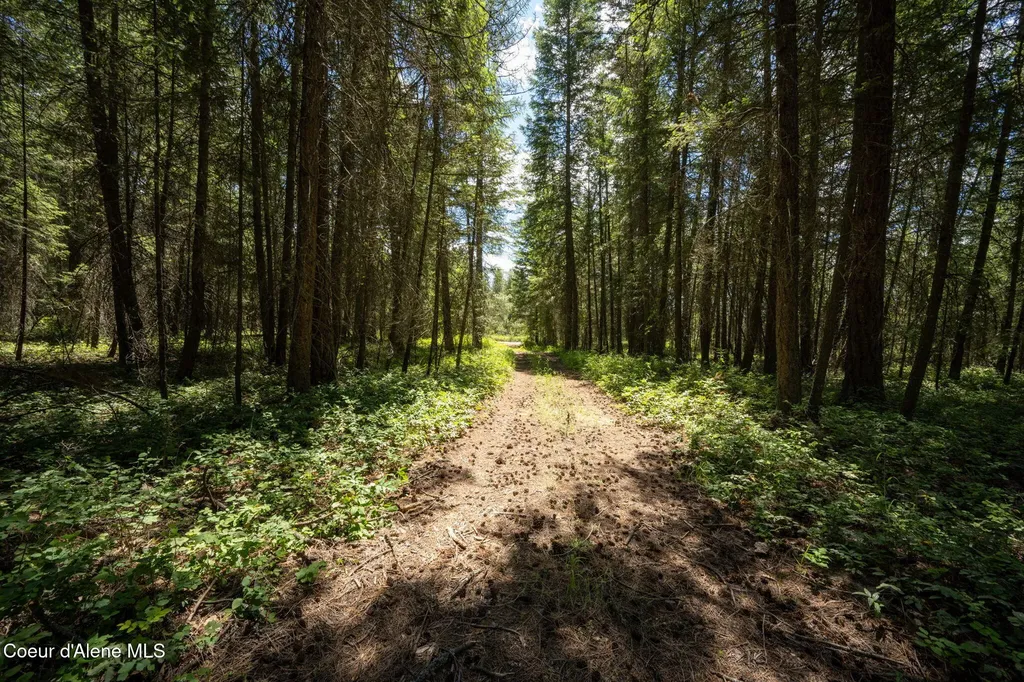 965 Trails End Road Athol ID 83801