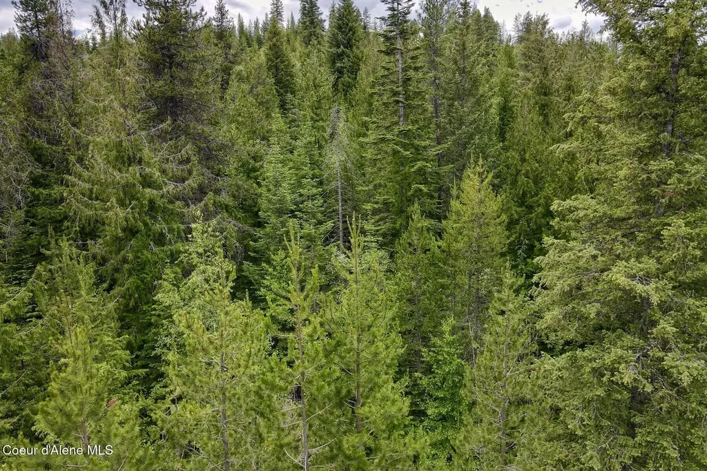 Nna 8.45 Acres Hoo Doo Mountain Road Priest River ID 83856