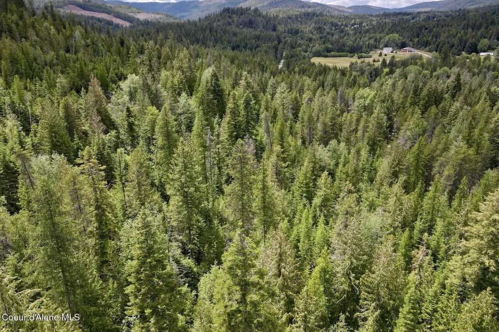 Nna 8.45 Acres Hoo Doo Mountain Road Priest River ID 83856