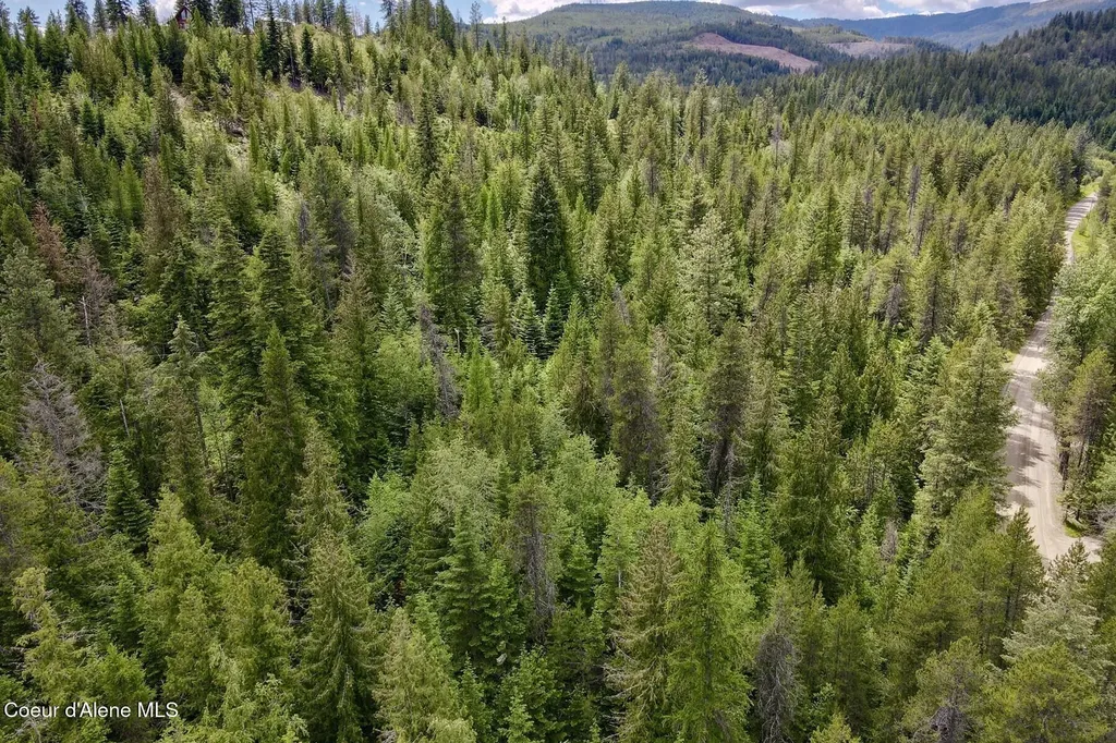 Nna 8.45 Acres Hoo Doo Mountain Road Priest River ID 83856