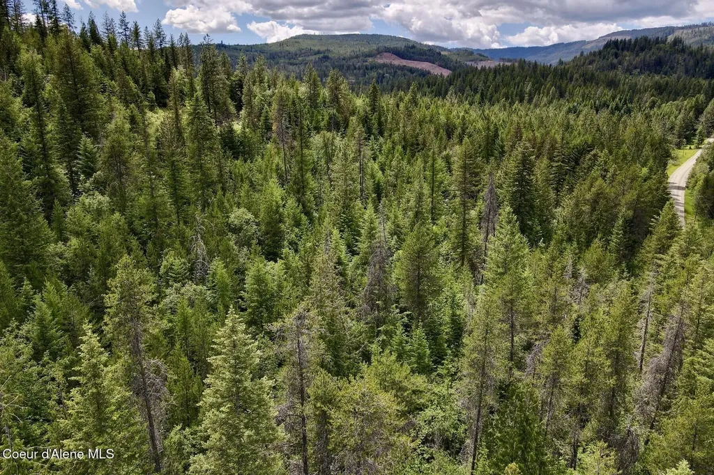 Nna 8.45 Acres Hoo Doo Mountain Road Priest River ID 83856