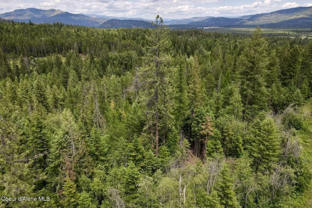 Nna 8.45 Acres Hoo Doo Mountain Road Priest River ID 83856