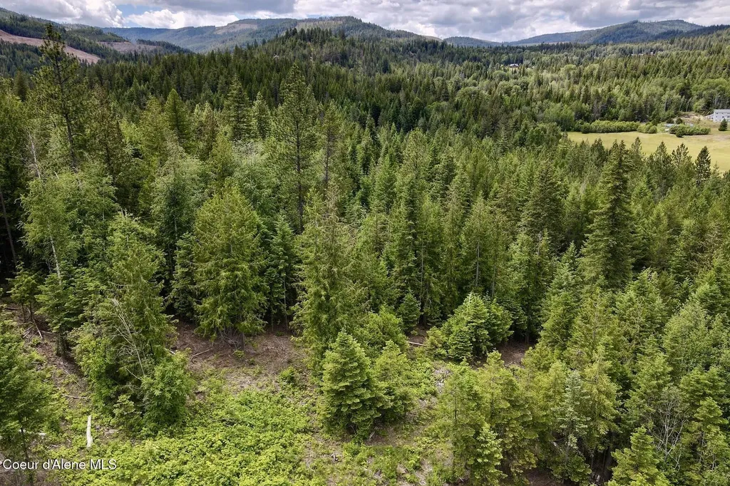 Nna 8.45 Acres Hoo Doo Mountain Road Priest River ID 83856