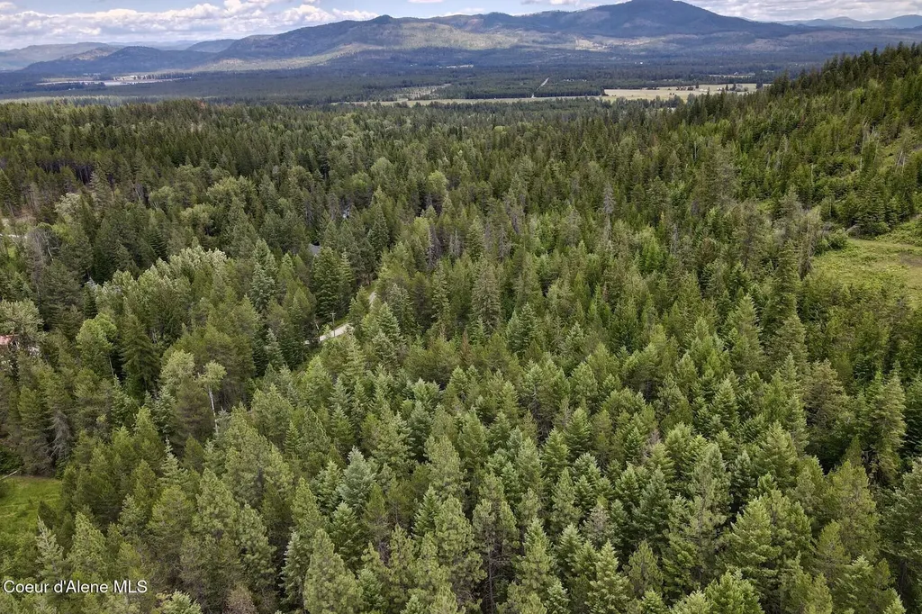 Nna 8.45 Acres Hoo Doo Mountain Road Priest River ID 83856