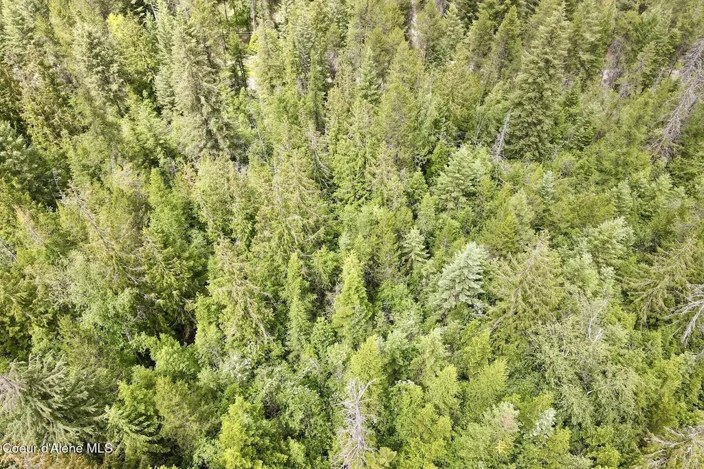 Nna 8.45 Acres Hoo Doo Mountain Road Priest River ID 83856