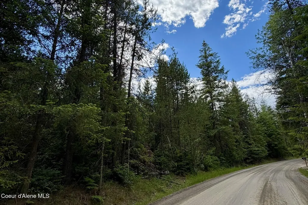 Nna 8.45 Acres Hoo Doo Mountain Road Priest River ID 83856