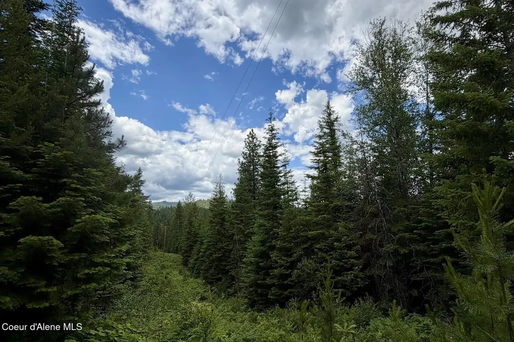 Nna 8.45 Acres Hoo Doo Mountain Road Priest River ID 83856