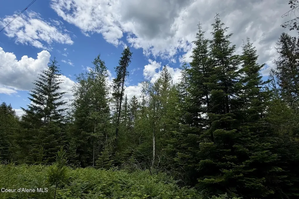 Nna 8.45 Acres Hoo Doo Mountain Road Priest River ID 83856