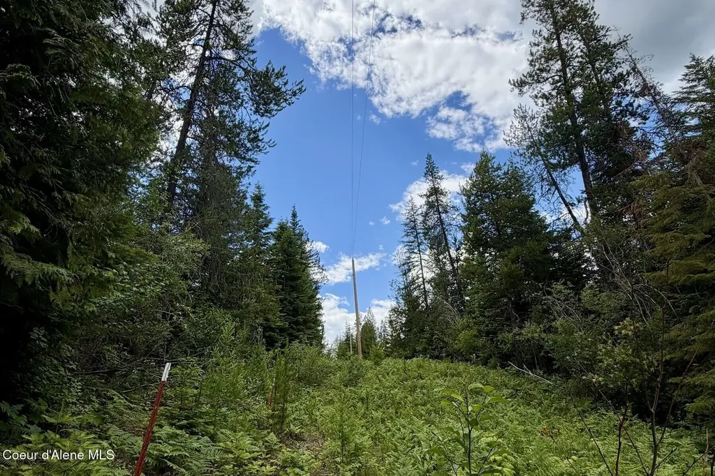Nna 8.45 Acres Hoo Doo Mountain Road Priest River ID 83856