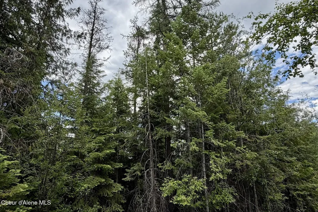 Nna 8.45 Acres Hoo Doo Mountain Road Priest River ID 83856