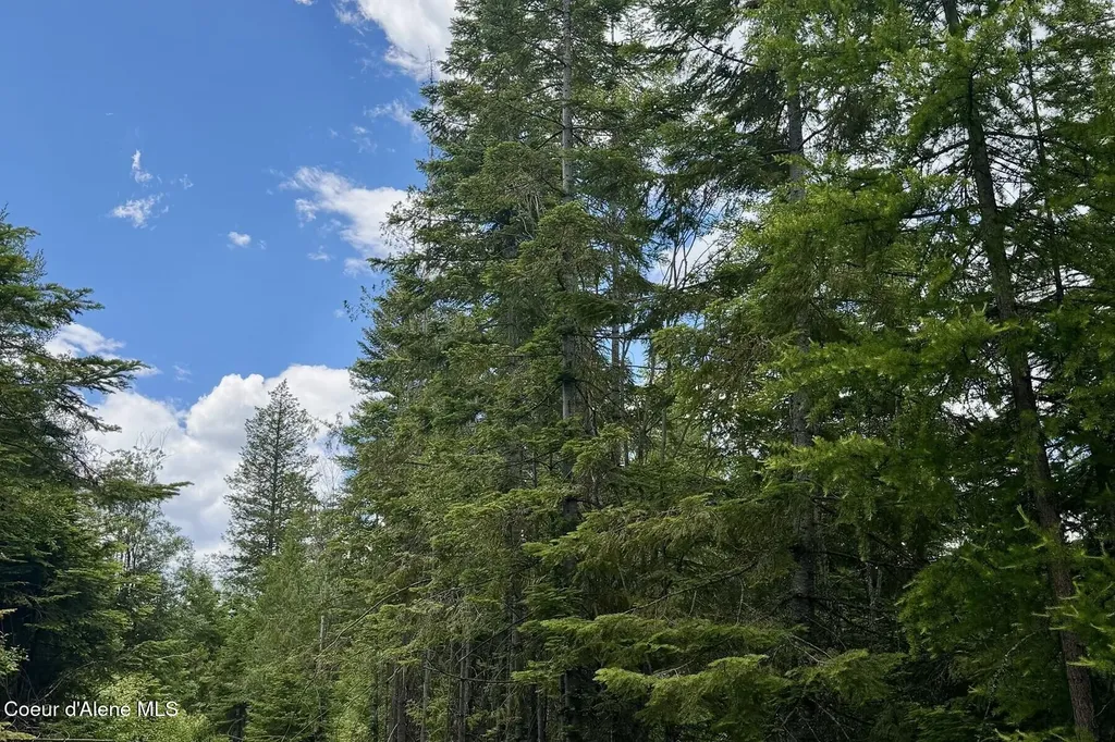 Nna 8.45 Acres Hoo Doo Mountain Road Priest River ID 83856