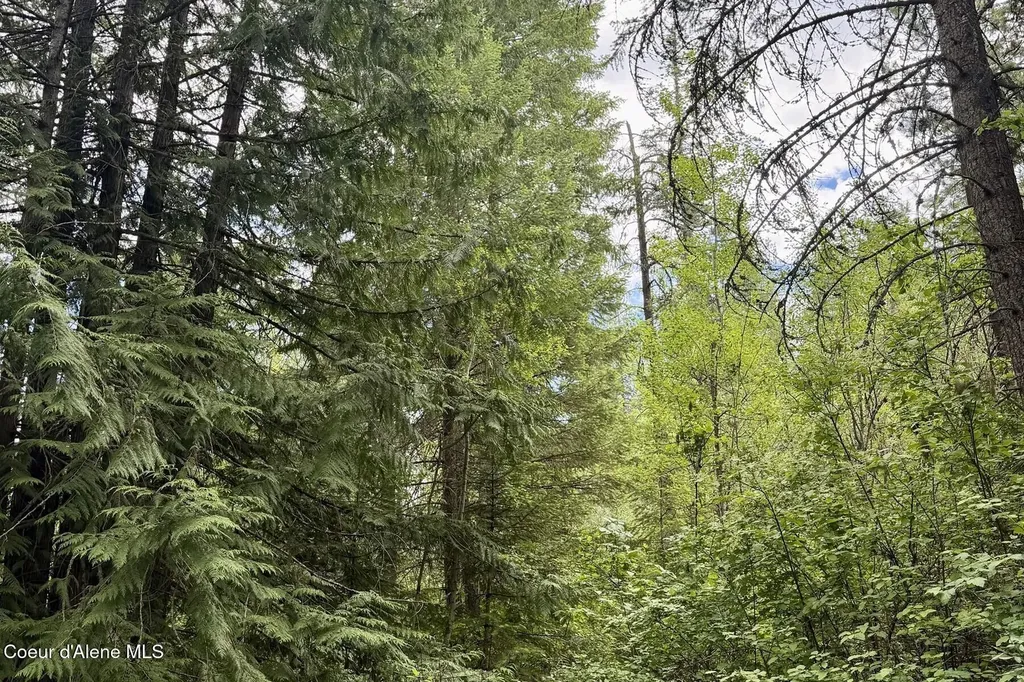 Nna 8.45 Acres Hoo Doo Mountain Road Priest River ID 83856