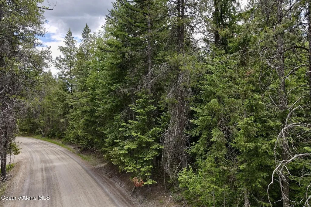 Nna 8.45 Acres Hoo Doo Mountain Road Priest River ID 83856