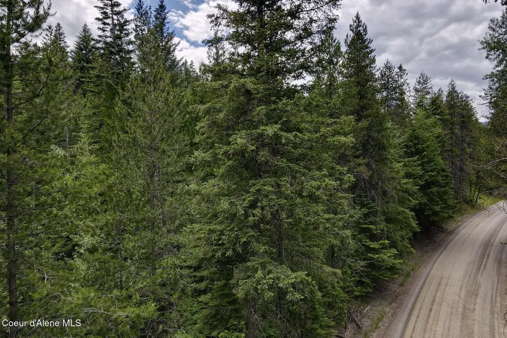 Nna 8.45 Acres Hoo Doo Mountain Road Priest River ID 83856