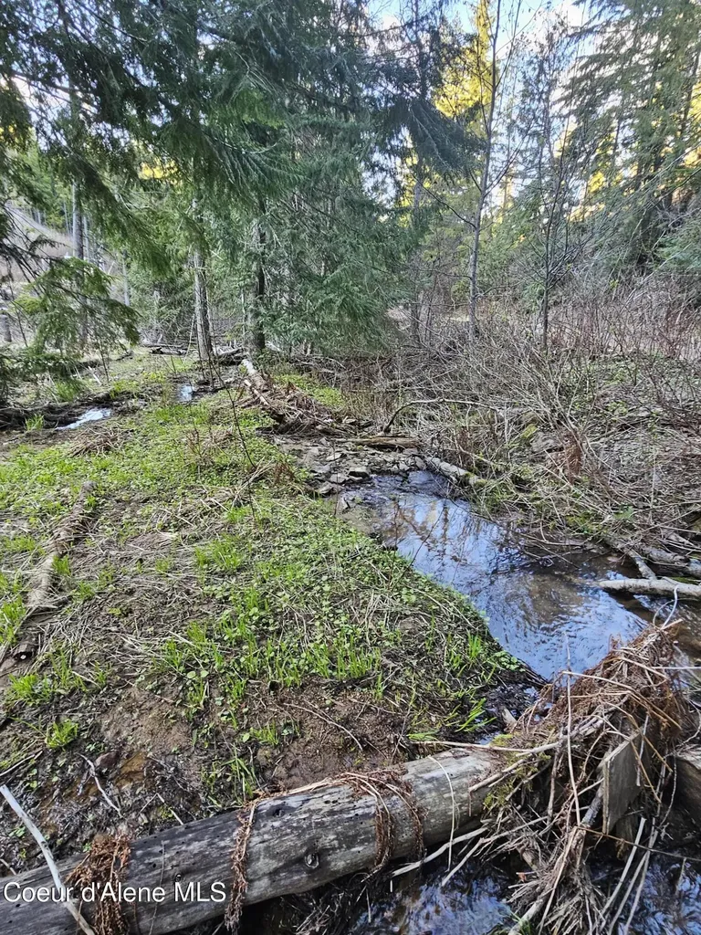 Nka Alder Way St. Maries ID 83861