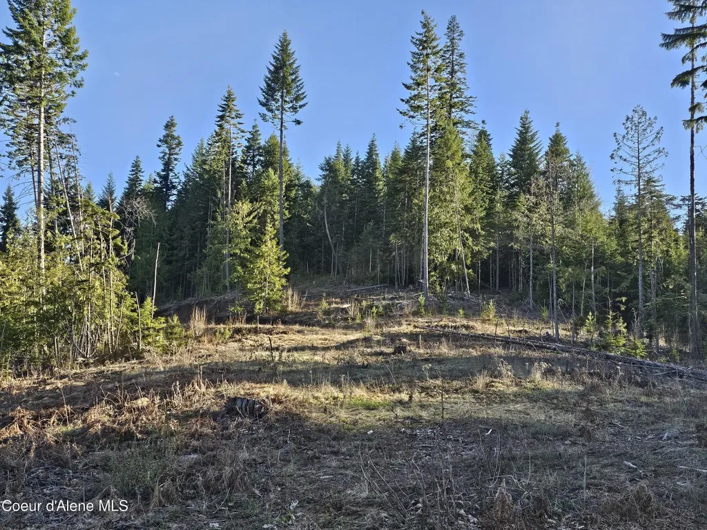 Nka Alder Way St. Maries ID 83861