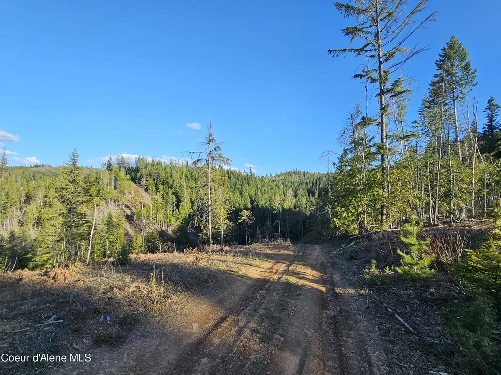Nka Alder Way St. Maries ID 83861