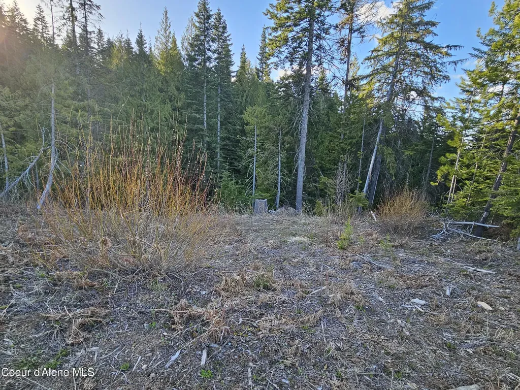 Nka Alder Way St. Maries ID 83861