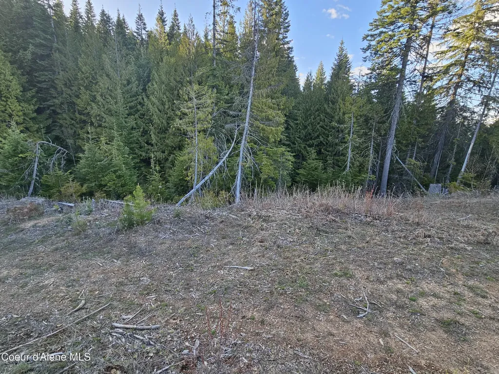 Nka Alder Way St. Maries ID 83861