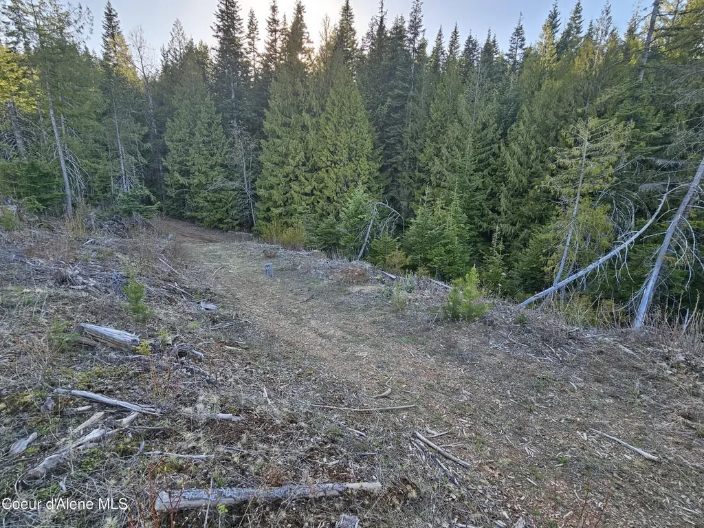 Nka Alder Way St. Maries ID 83861