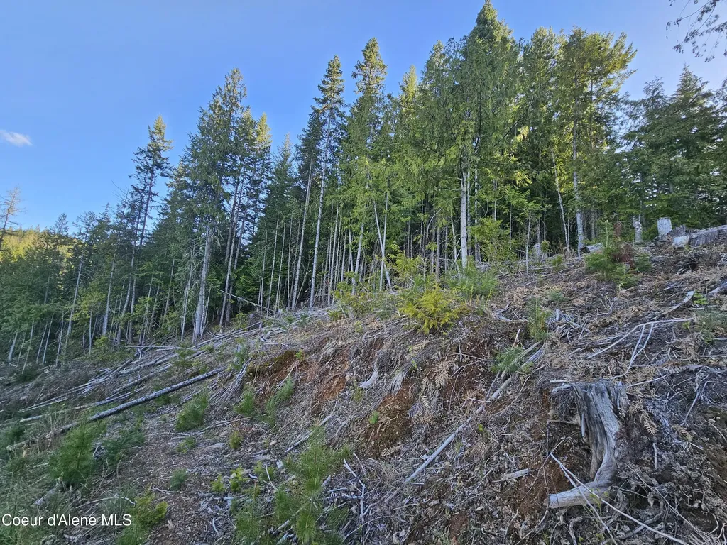 Nka Alder Way St. Maries ID 83861