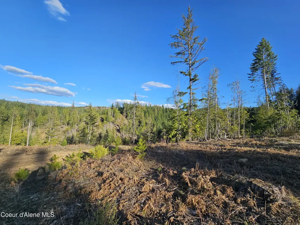 Nka Alder Way St. Maries ID 83861