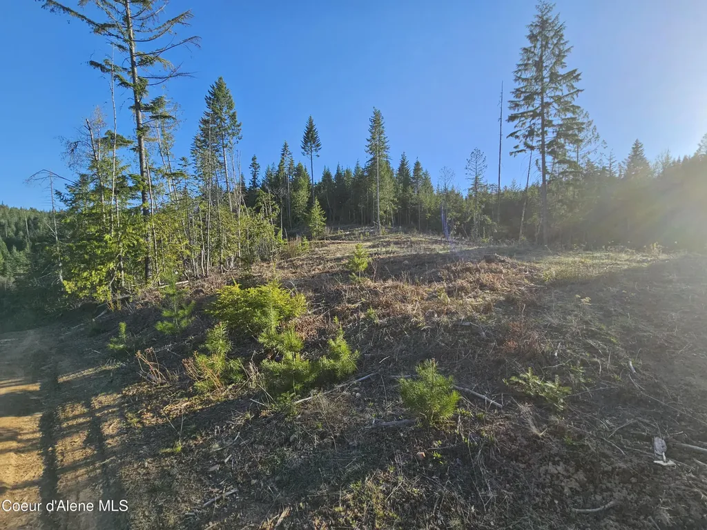 Nka Alder Way St. Maries ID 83861