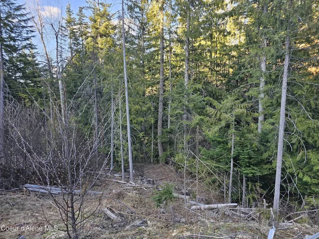 Nka Alder Way St. Maries ID 83861