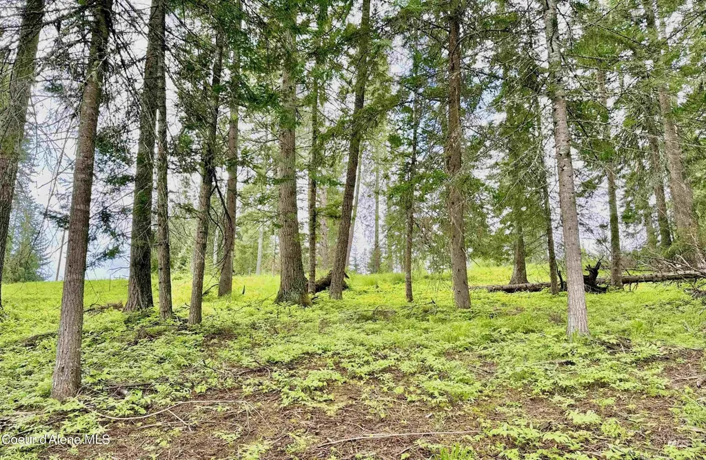 15798 N Sportsman Park Road Hayden ID 83835