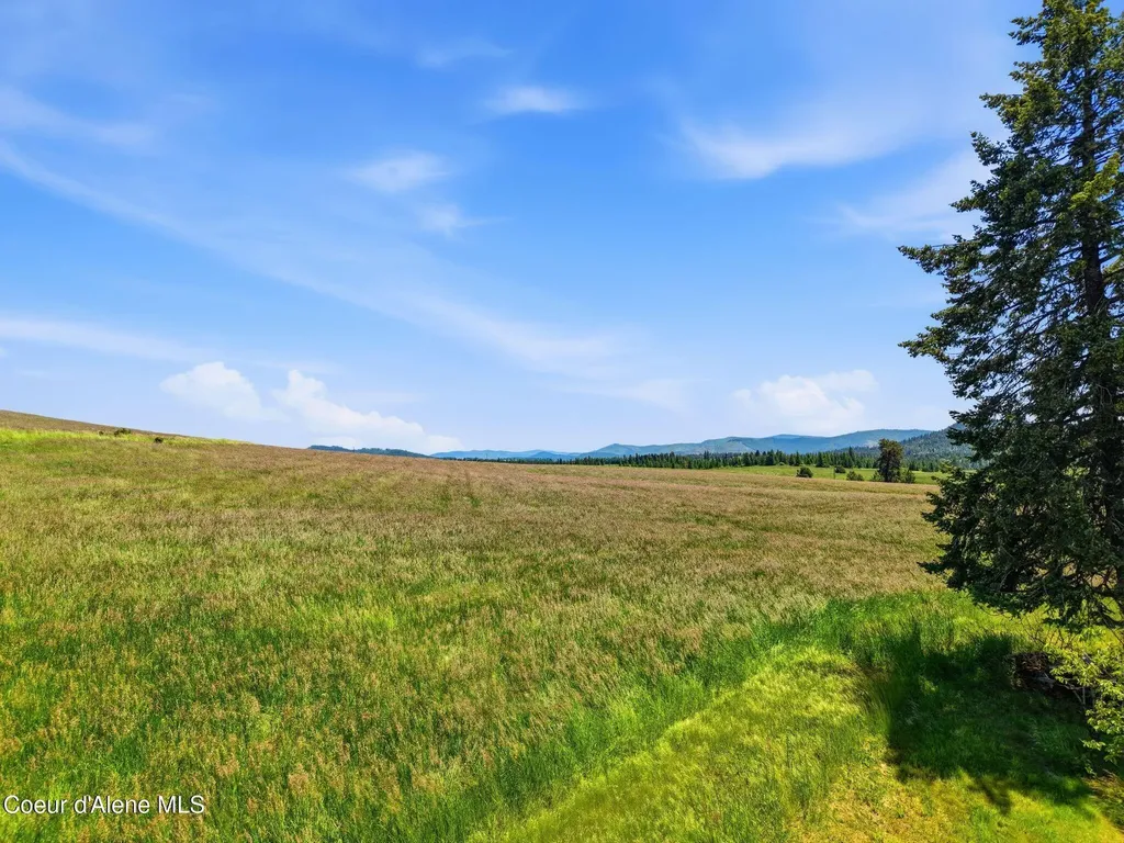 2157 W Rolling Hills Road Worley ID 83876