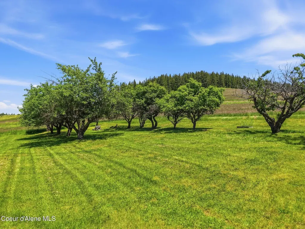 2157 W Rolling Hills Road Worley ID 83876